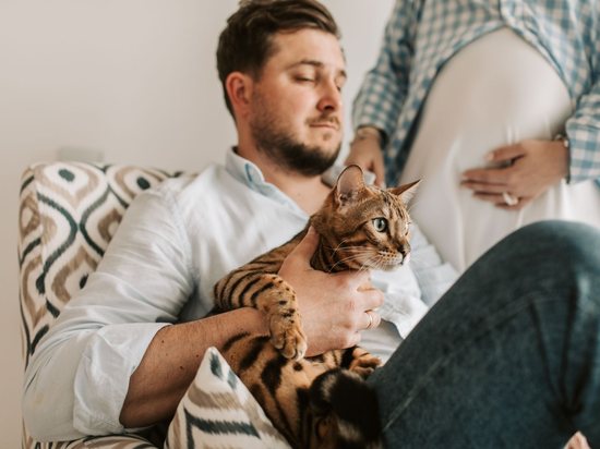 A man holding his bengal cat on the sofa beside his partner