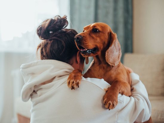 A woman holding her dachshund over her shoulder at home