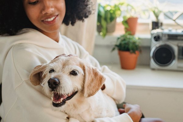 A smiling woman holding her yellow labrador at home